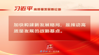 “习近平高质量发展新论断”系列之二：战略基点——加快构建新发展格局